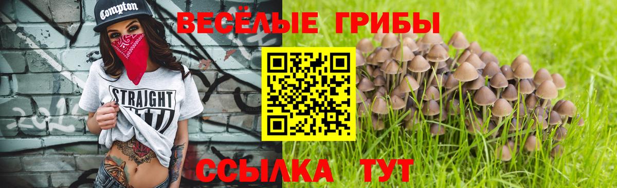 Псилоцибиновые грибы ЛСД Шумерля