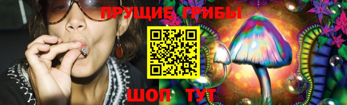 Псилоцибиновые грибы Psilocybe  Псилоцибиновые грибы GOLDEN TEACHER  хочу   Вход с VPN  Шумерля 